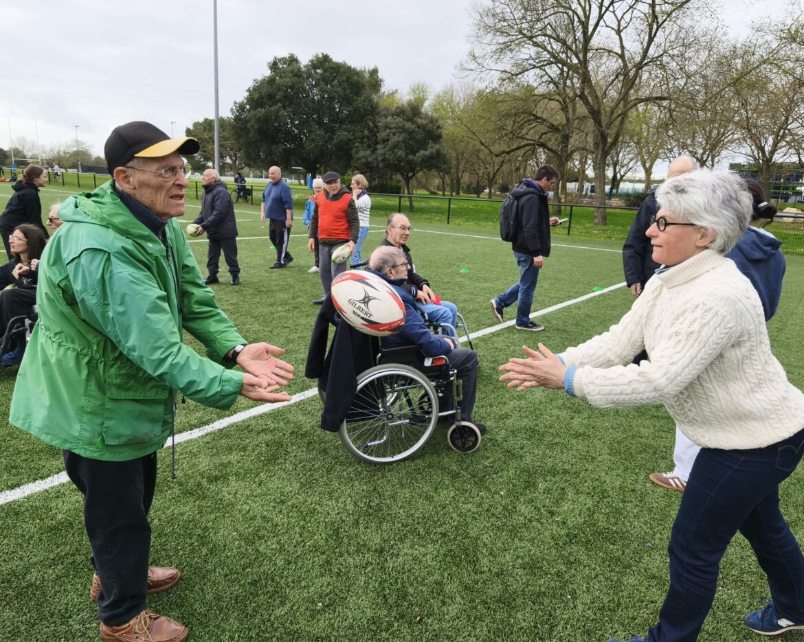 Rugby (15)