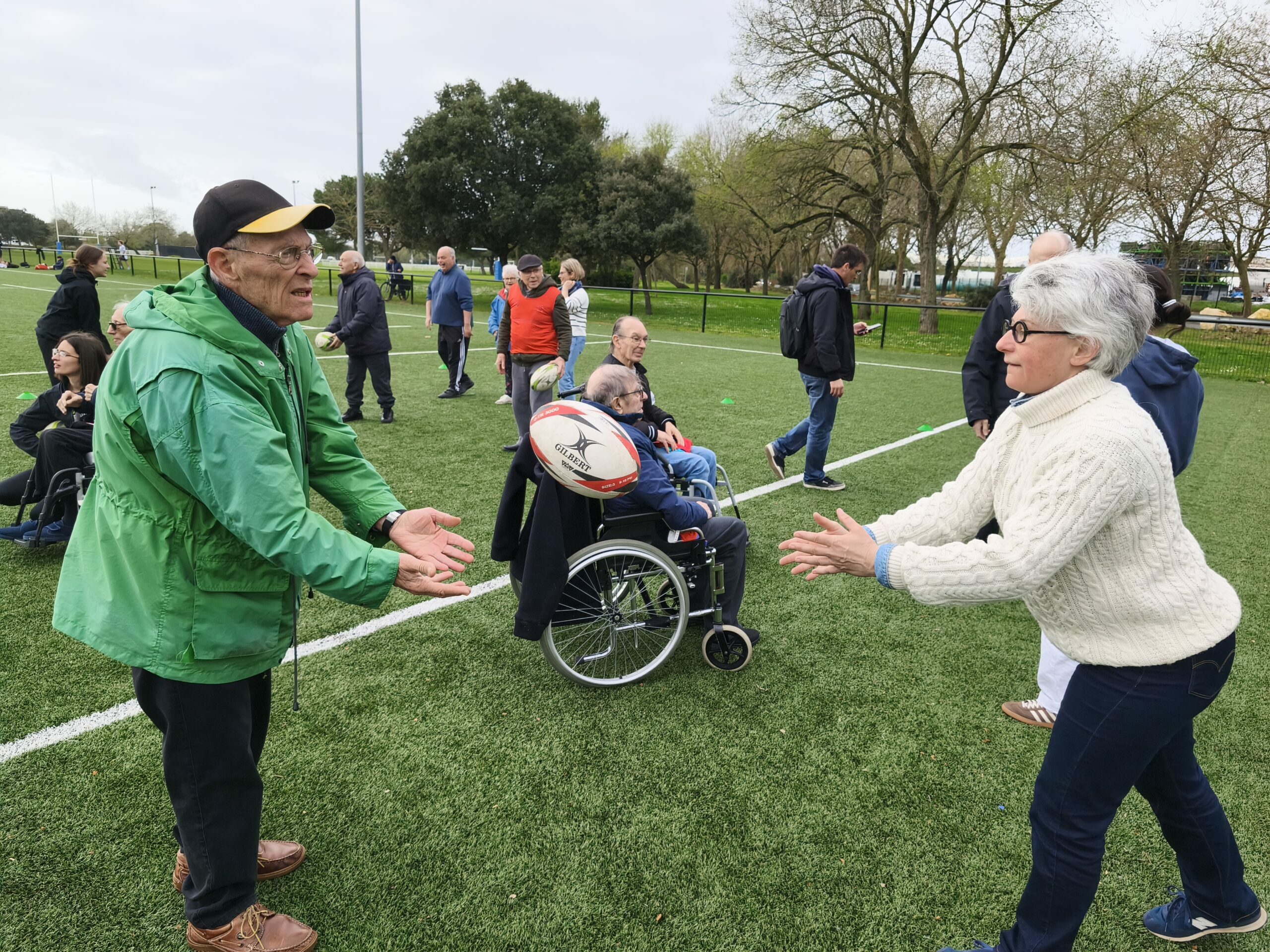 Rugby (15)