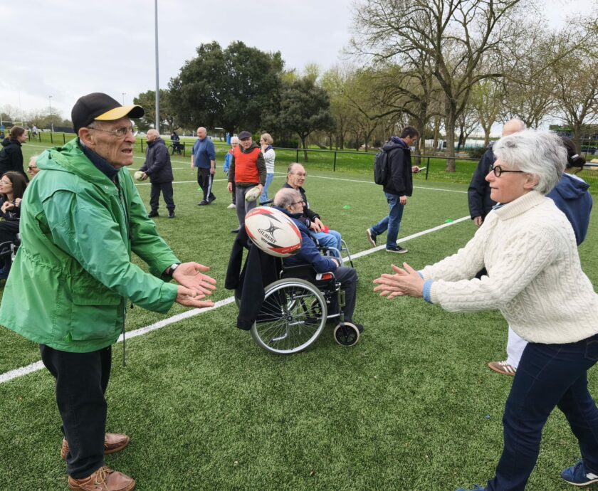 Rugby (15)